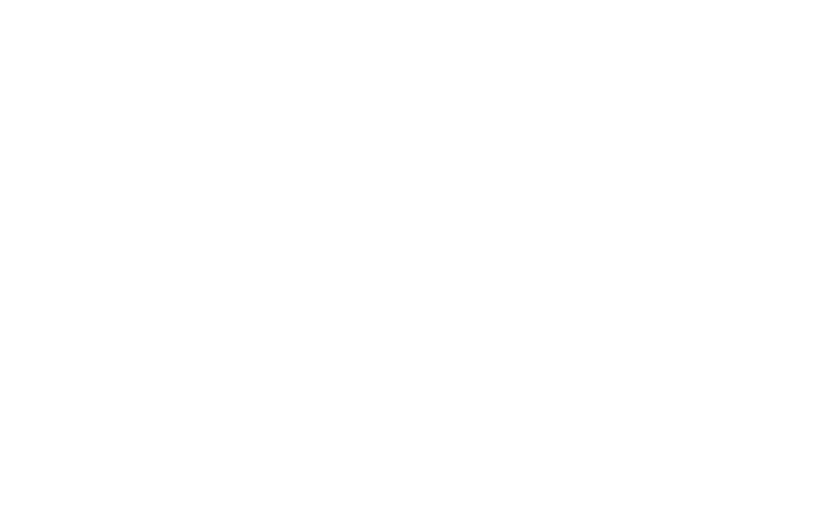 Школа Фиделя Субботина